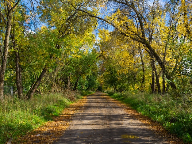 Autumn landscape. Road in the autumn Park.