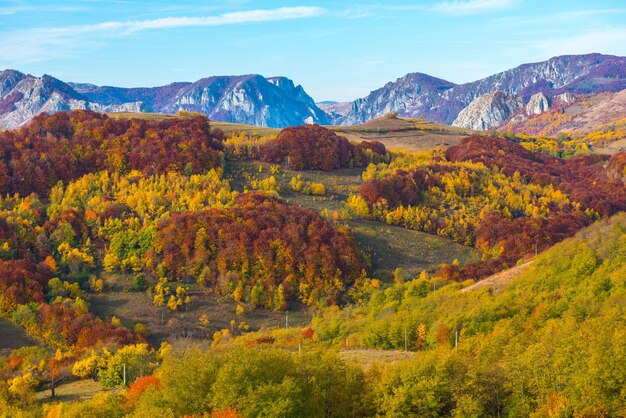 Autumn landscape in Romania