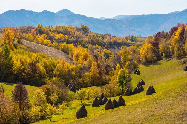 Осенний пейзаж в Румынии