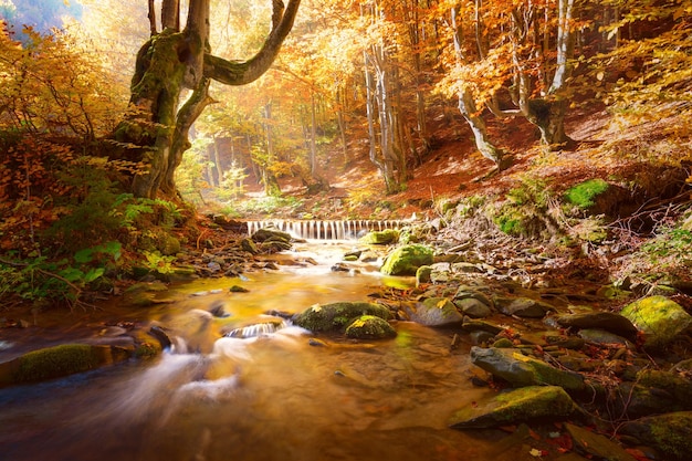 Autumn landscape small mountains river in yellow trees forest colors of fall nature big size