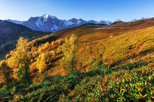 Осенний пейзаж и заснеженные горные вершины. Вид на мо