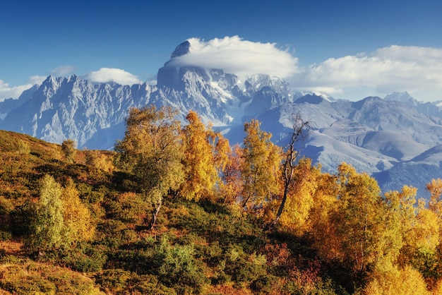 Autumn landscape and snow-capped mountain peaks. View of the mou