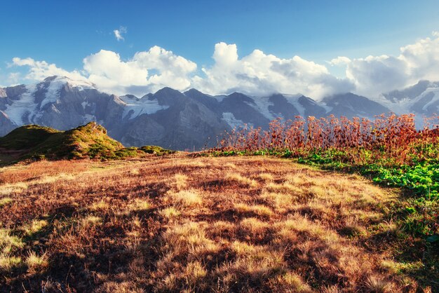 Paesaggio autunnale e cime innevate. vista del mou