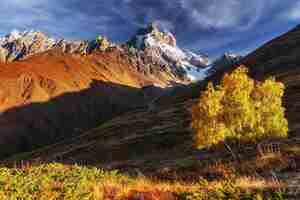 Photo autumn landscape and snowy mountain peaks