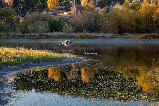 Paesaggio autunnale in una giornata di sole riflessione delle montagne del fiume della foresta gialla nel cielo blu dell'acqua