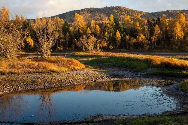 Autumn landscape on a sunny day Yellow forest river mountains reflection in water blue sky