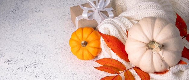 Foto banner web paesaggio autunnale con zucca bambino arancione e bianco