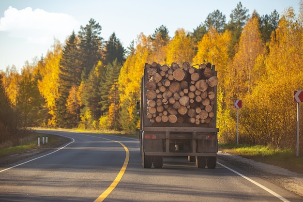 Photo autumn landscape with an asphalt road on which a car loaded with logs is driving