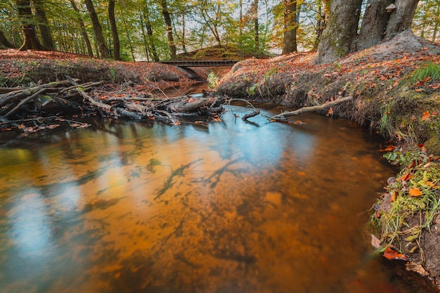 Autumn landscape with colorful forest. Indian summer landscape. Colorful foliage with beautiful woods