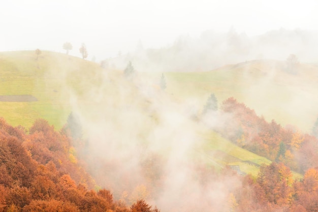 Autumn landscape with fog in the mountains Fir forest on the hills Carpathians Ukraine Europe