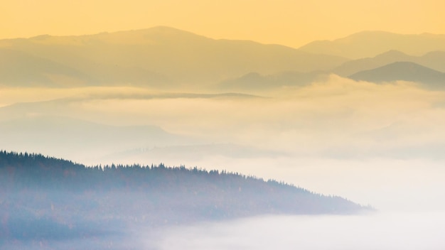 Autumn landscape with fog in the mountains Fir forest on the hills Carpathians Ukraine Europe