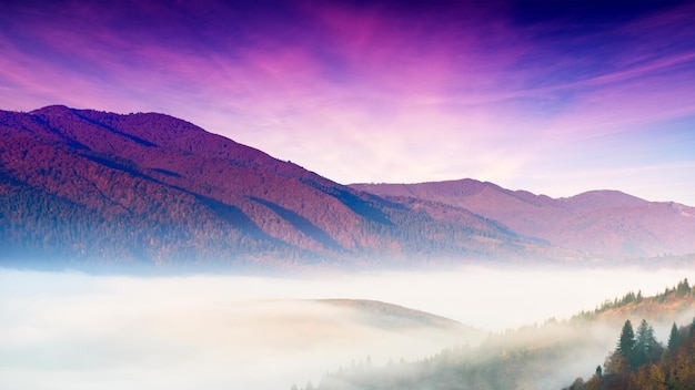 Autumn landscape with fog in the mountains Fir forest on the hills Carpathians Ukraine Europe