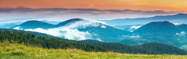 Autumn landscape with fog in the mountains Fir forest on the hills