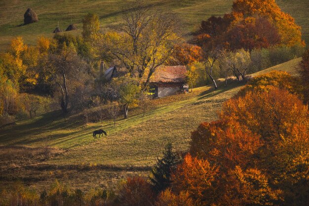 Осенний пейзаж с горными деревнями недалеко от Брасова, Румыния