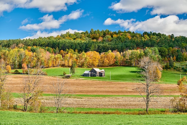 Autumn landscape with old house