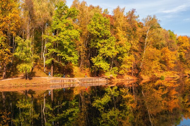 モスクワのツァリツィーノ湖のほとりに赤い木々のある秋の風景