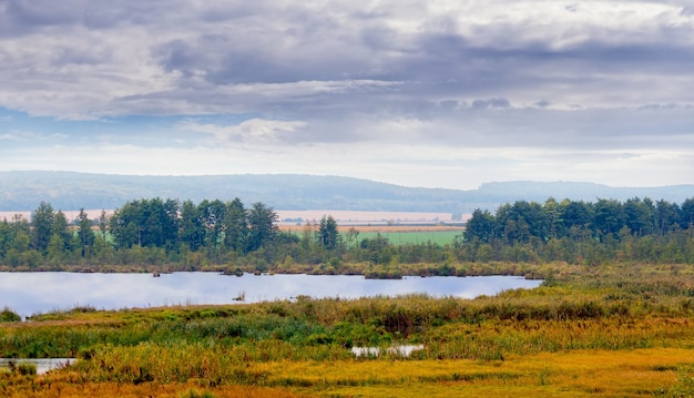 Autumn landscape with river, forest in the distance and gloomy sky