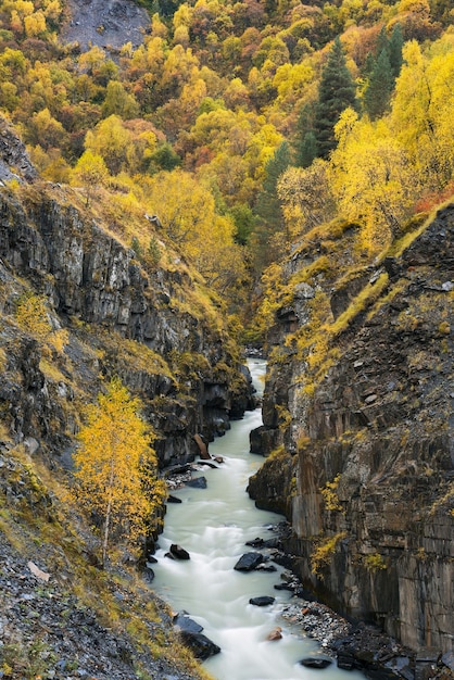 Autumn landscape with a river in a mountain gorge