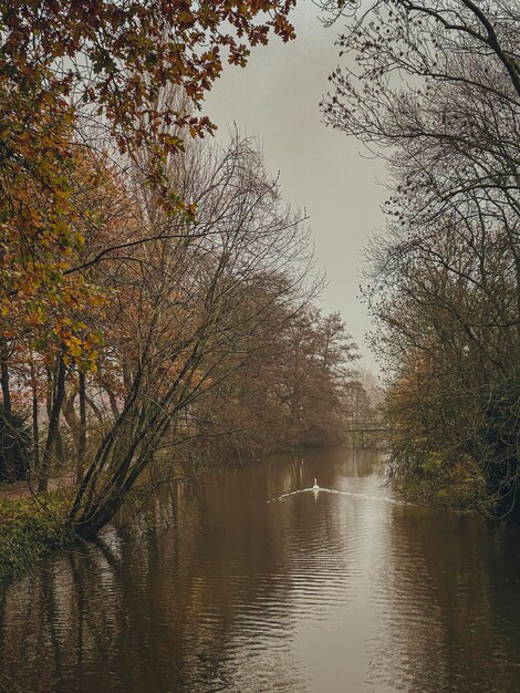 autumn landscape with river and trees retro vintage style look