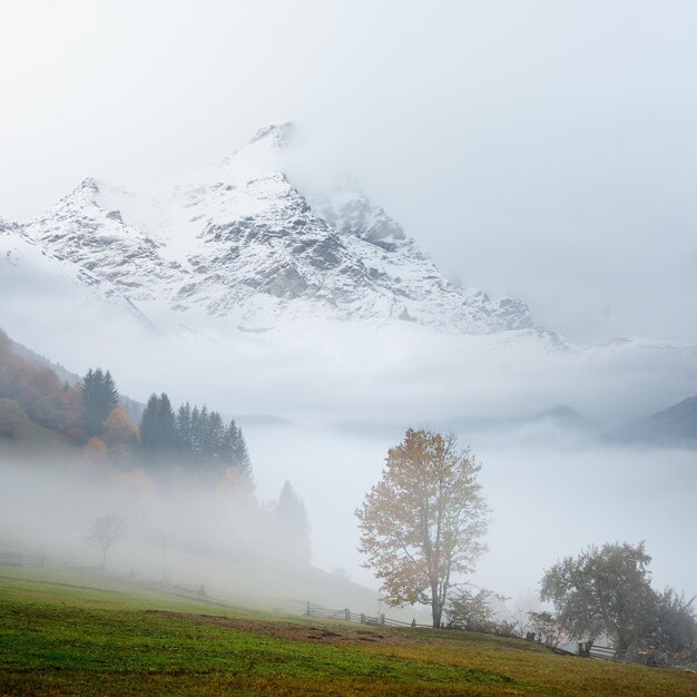 Autumn landscape with trees and dense fog. Mountain top in the snow. Cloudy day . Collage of two frames