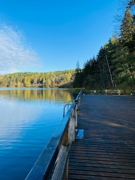 Paesaggio autunnale con alberi, foresta e lago