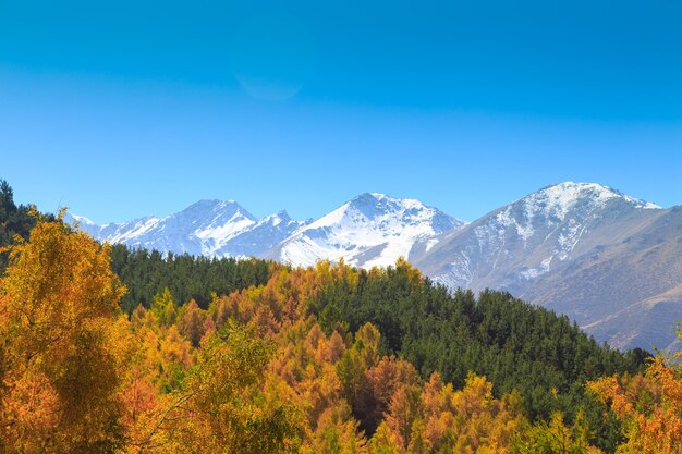 Autumn landscape Yellow and green trees Mountains and bright blue sky