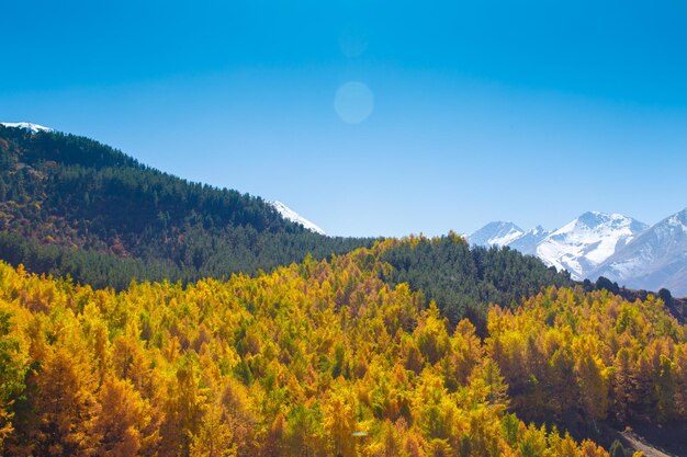 Autumn landscape yellow and green trees mountains and bright blue sky