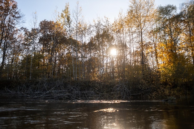 Autumn landscape Yellow trees on the bank of a forest river at sunset Landscape in warm colors of sunlight