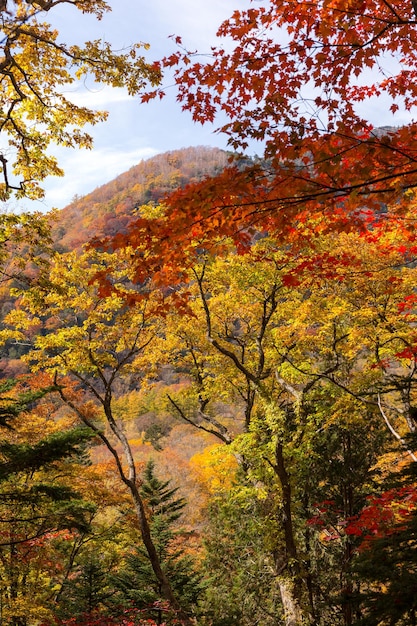 가을 풍경