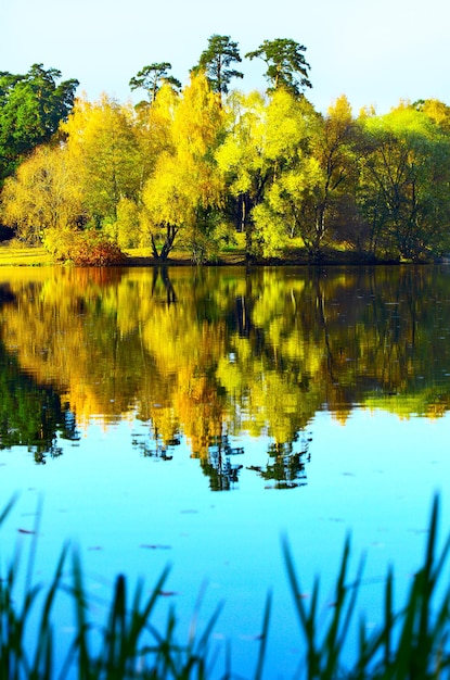 Autumn landscape