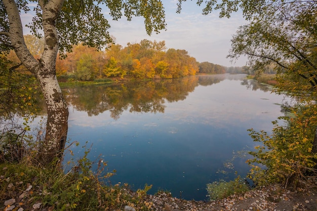 Autumn Landscape