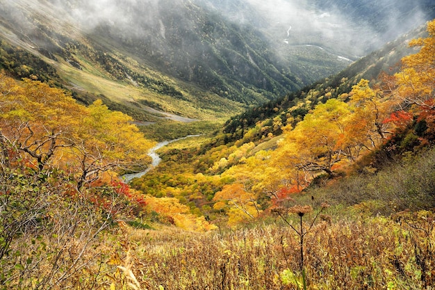 Осенний пейзаж