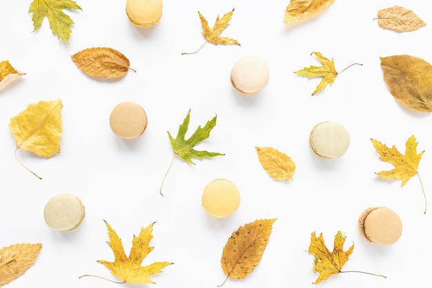 Autumn layout yellow leaves and macaroons on white background autumn fall concept flatlay top view