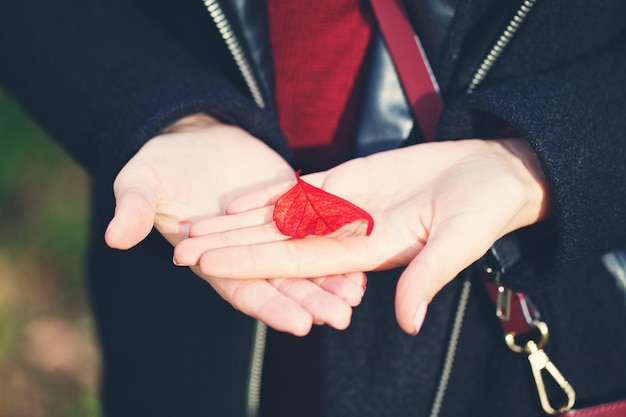 Autumn leaf on female hands Background with red fall leaf autumn concept