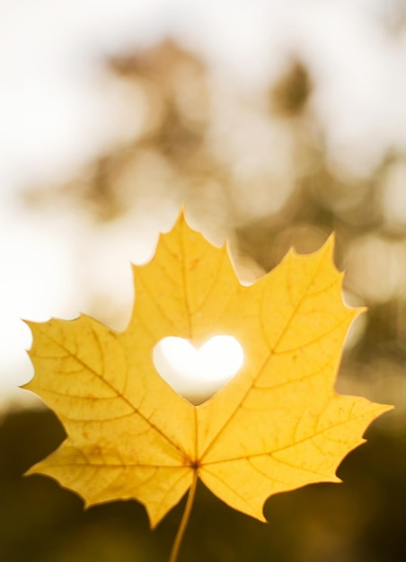 Autumn leaf heart shape cutting outdoors