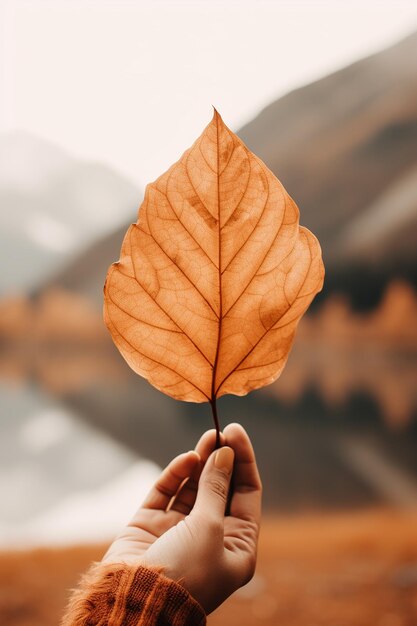 Foto foglia autunnale tenuta in mano