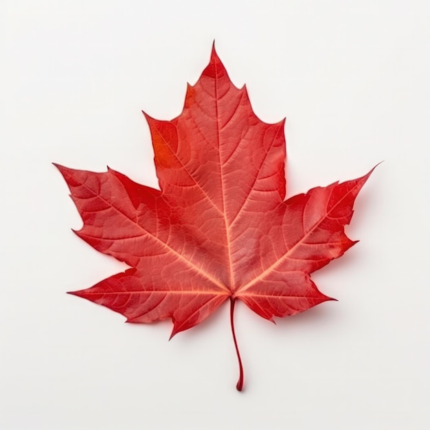 Autumn leaf isolated illustration ai generativexa