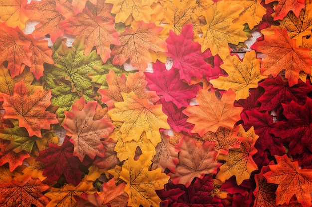 autumn leaf on old white vintage wooden texture floor with free copy space