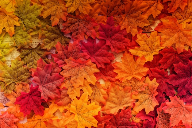 Photo autumn leaf on old white vintage wooden texture floor