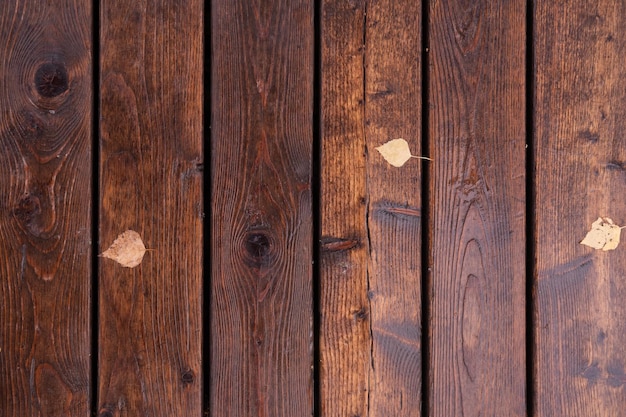 Autumn leaf on a rainy day on a wet wooden background top view