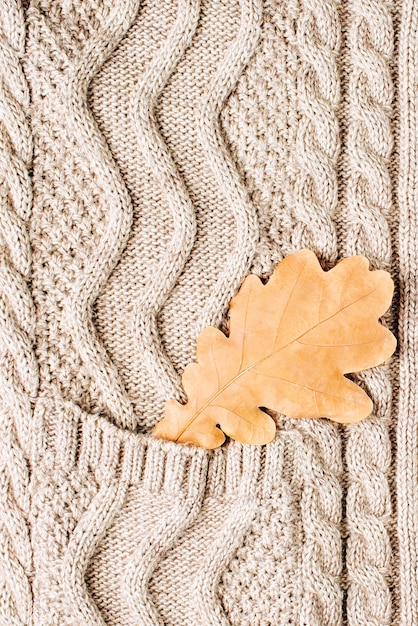 Autumn leaf and warm plaid. Copy space. Flat lay, top view