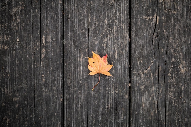 Autumn leaf on a wooden background