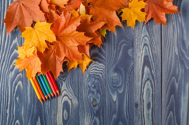 Фото Осенние листья на синем деревянном столе
