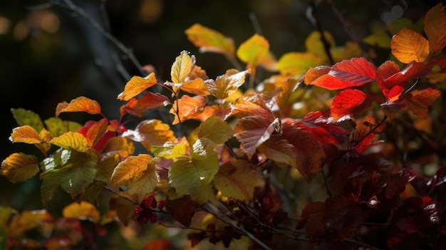 Autumn leafs in orange and yellow colors