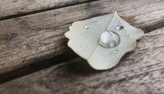 Autumn leave with drop on wooden table