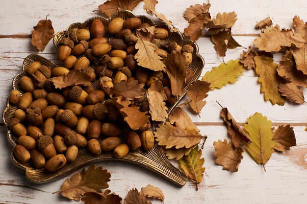 Autumn leaves and acorns