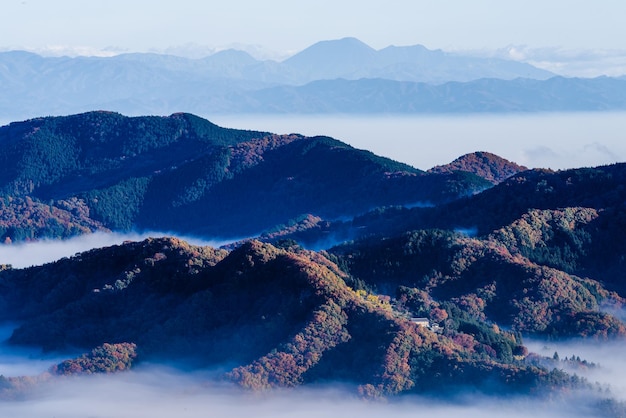 写真 秋の葉と雲の海