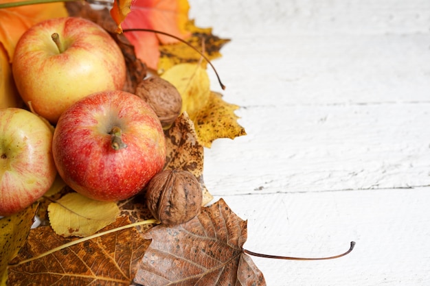 Photo autumn leaves and apples