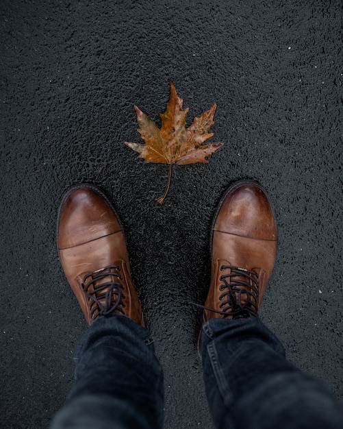 autumn leaves on asphalt