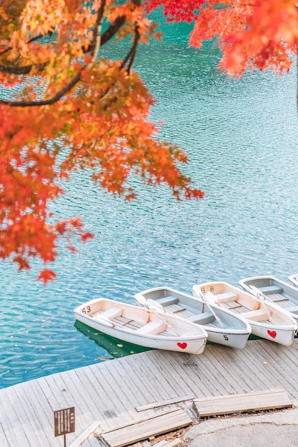 写真 福島県の磐梯高原で人気のある五色沼湖沼（五色沼）の紅葉